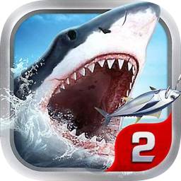 九游账号注册上限